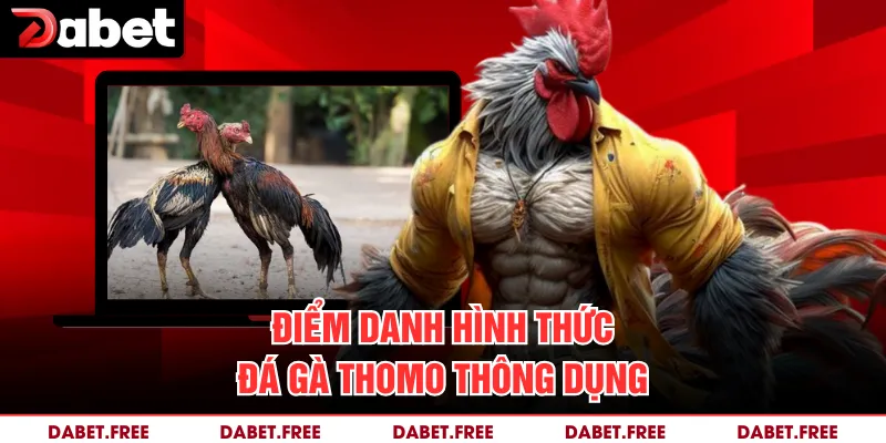 Điểm danh hình thức đá gà Thomo thông dụng