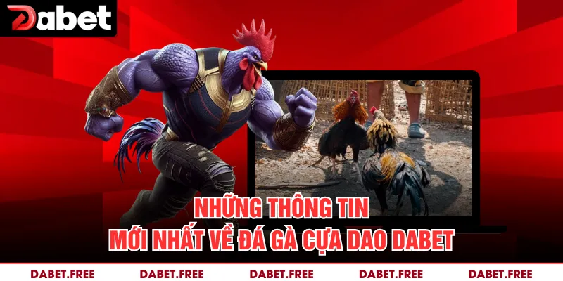 Những thông tin mới nhất về đá gà cựa dao Dabet
